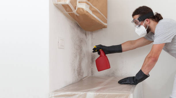 Professional Mold Removal technician working in Lillington, NC