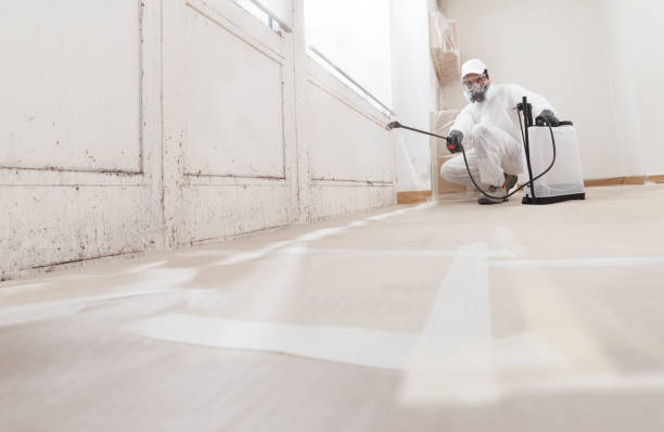 24/7 Emergency Mold Removal experts in Lillington, NC